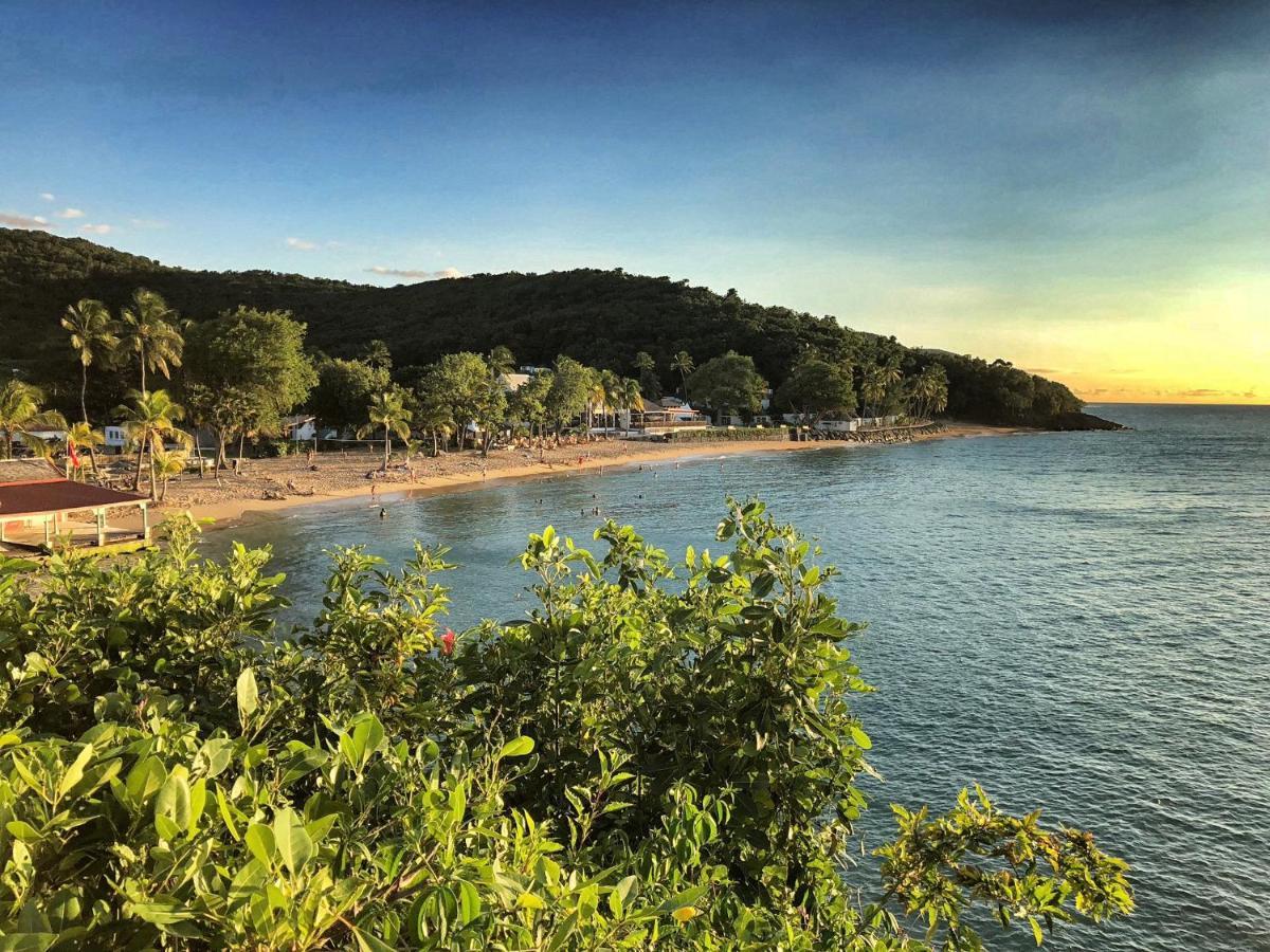 Case Coco Pointe Batterie. Piscine, Vue Mer, 4 P. Deshaies Exterior photo